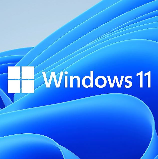 Microsoft Windows 11 Home OEM 64 Bit