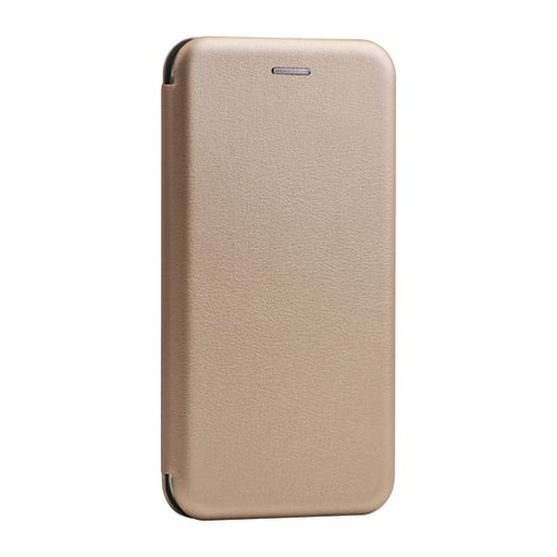 [CSCELAE152GOL] Cleanskin Mag Case XS Max - Gold
